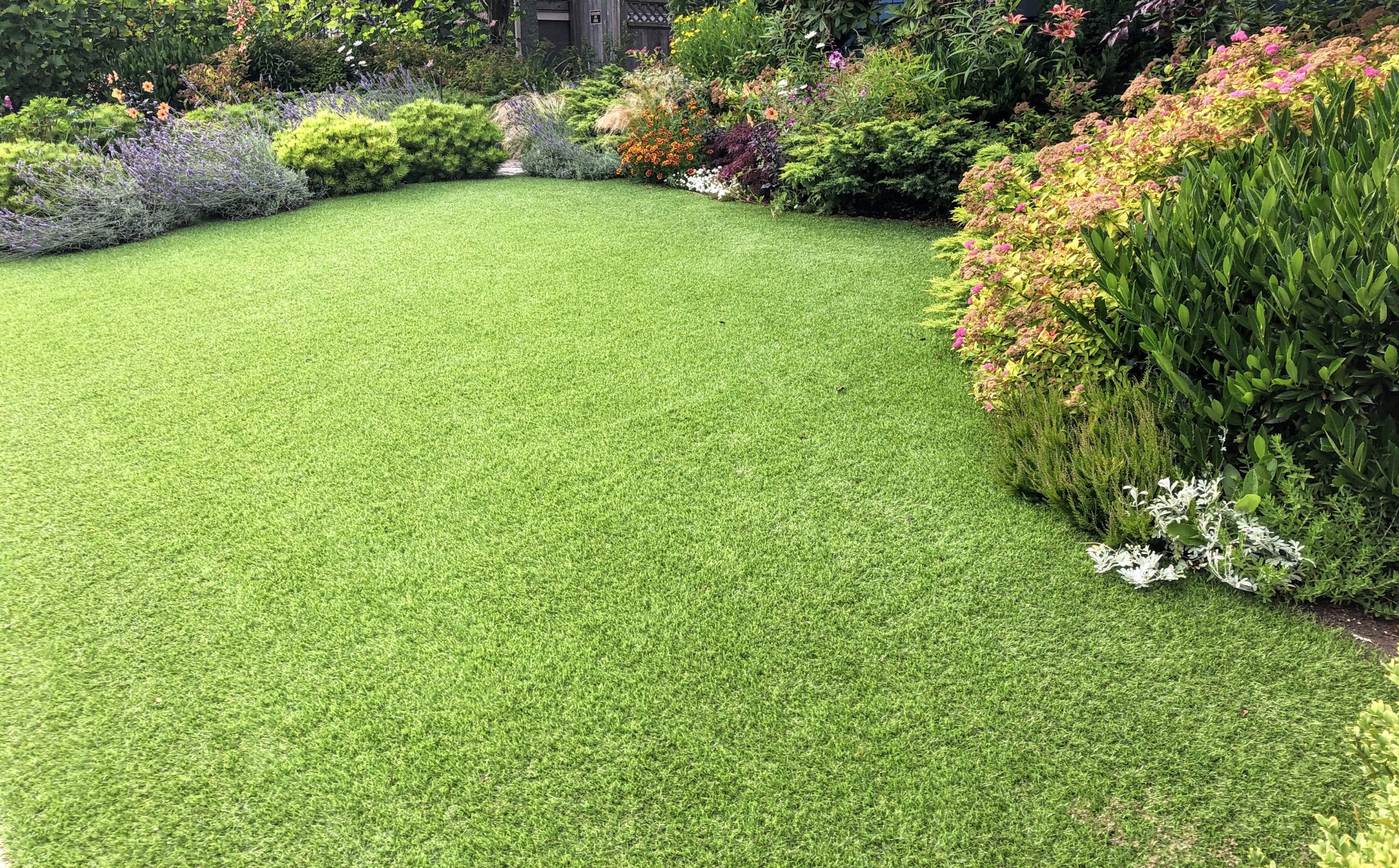 Green garden lawn with colorful border plants