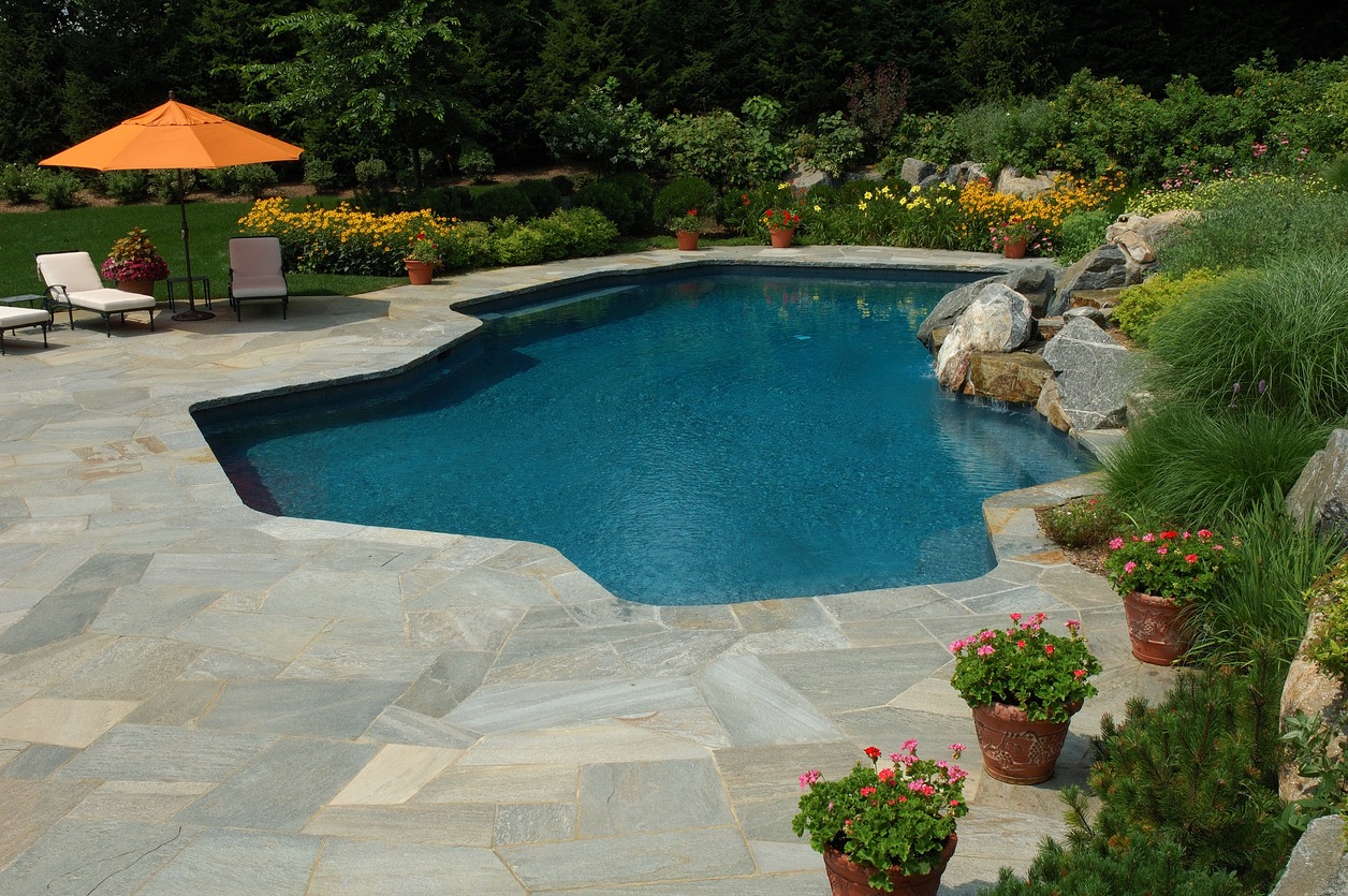Backyard pool with patio and garden.