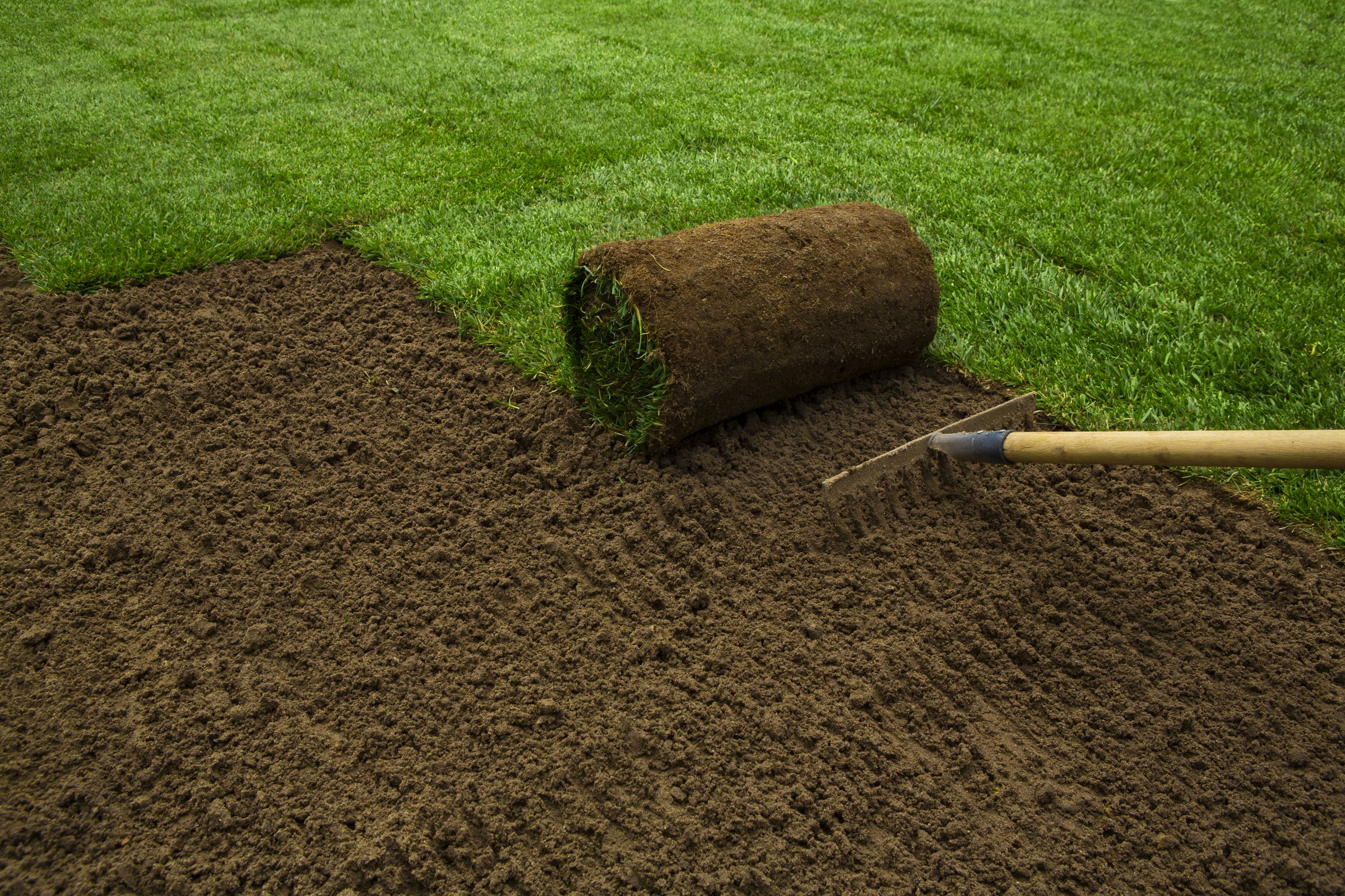Laying sod on prepared soil with rake