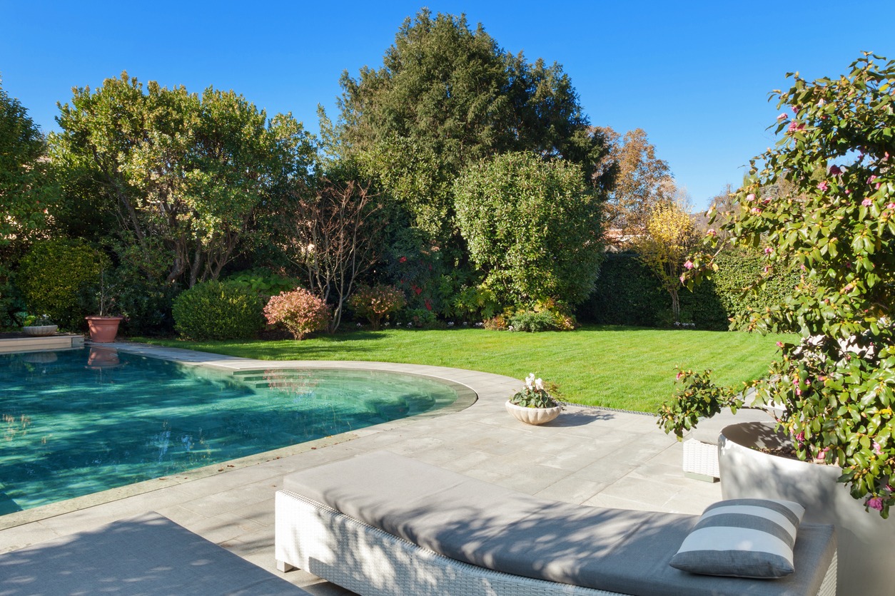 Sunny backyard with pool, trees, and patio lounge.
