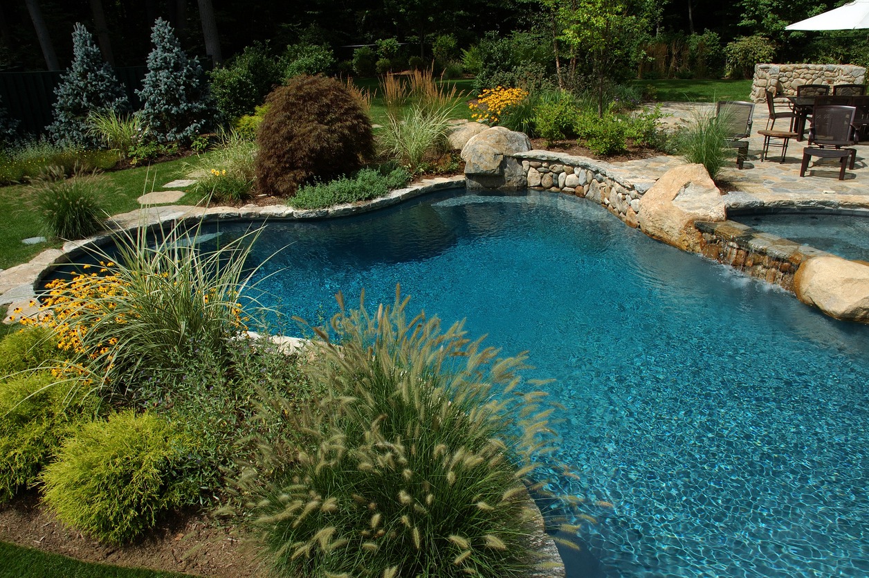 Beautiful garden pool with surrounding plants and rocks.
